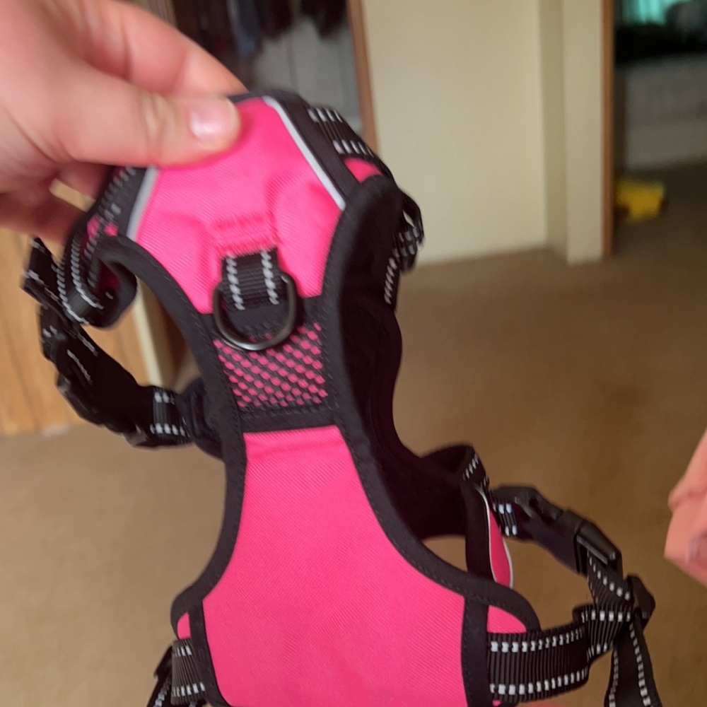 Phoe Pet harness